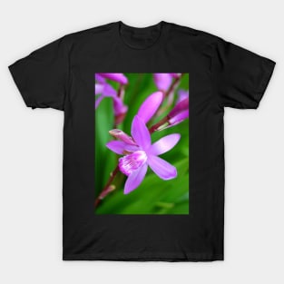 Vibrant Purple T-Shirt